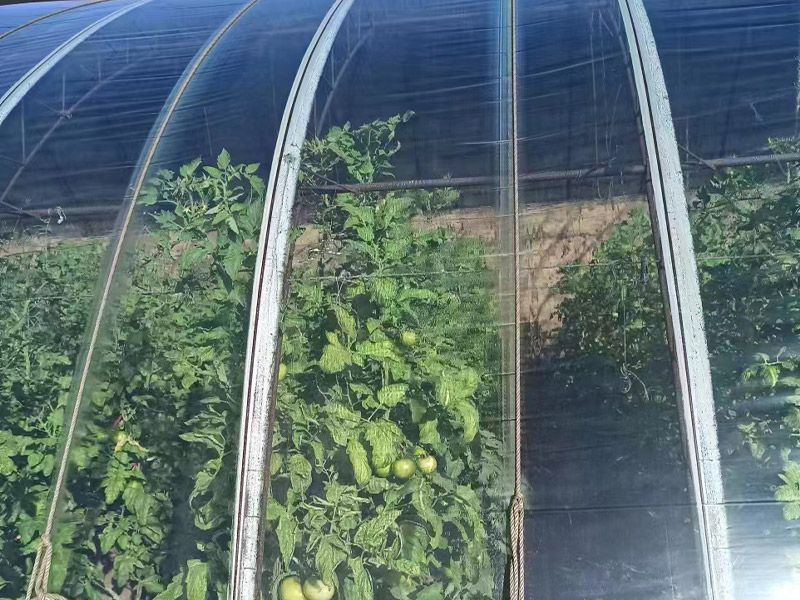 塑料大棚膜的分类及选择方法